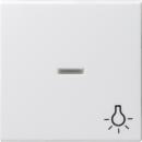 Gira System 55 Kontroll Wippe+Symbol Licht Reinwei§ matt 067427