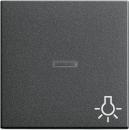 Gira System 55 Kontroll Wippe+Symbol Licht Anthrazit 067428