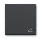 B+J Wippe mit Aufdruck, anthrazit, future linear, Abdeckungen für Schalter/Taster 2520 KI-81