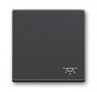 B+J Wippe mit Aufdruck, anthrazit, future linear, Abdeckungen für Schalter/Taster 2520 LI-81