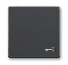 B+J Wippe mit Aufdruck, anthrazit, future linear, Abdeckungen für Schalter/Taster 2520 TR-81