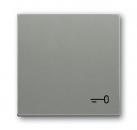 B+J Wippe mit Aufdruck, graumetallic, solo, Abdeckungen für Schalter/Taster 2520 TR-803