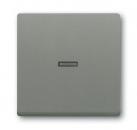 B+J Wippe, graumetallic, solo, Abdeckungen für Schalter/Taster 1789 N-803