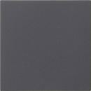 Gira System55 S3000 Tast Dimmer Abdeckung Anthrazit 536028