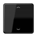 Jung CD500 Steuertaste Standard -Pfeile CD1700PSW