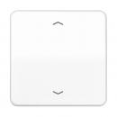 Jung CD500 Steuertaste Standard -Pfeile CD1700PWW