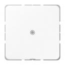 Jung CD500 Leitungsauslass Alpinweiß CD590AWW