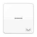 Jung CD500 Kontroll Wippe mit Symbol Licht Alpinweiß CD590KO5LWW