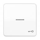 Jung CD500 Kontroll Wippe mit Symbol Tuer Alpinweiß CD590KO5TWW