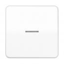 Jung CD500 Kontroll Wippe Alpinweiß CD590KO5WW