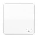 Jung CD500 Wippe mit Symbol Licht Alpinweiß CD590LWW