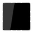 Jung CD500 Blind-Abdeckung Schwarz CD594-0SW