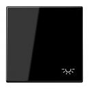 Jung LS990 Wippe mit Symbol Licht Schwarz LS990LSW